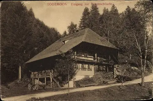 Ak Todtmoos im Hochschwarzwald, Eingang zur Rabenschlucht, Landhaus, Kutschkarren