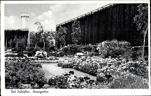 Ak Bad Salzuflen in Lippe, Rosengarten