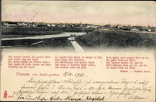 Ak Husum in Nordfriesland, Gesamtansicht, Gedicht von Theodor Storm