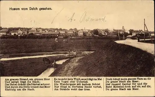 Ak Husum in Nordfriesland, Gesamtansicht, Blick vom Deich, Gedicht von Theodor Storm