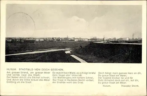 Ak Husum in Nordfriesland, Gesamtansicht, Blick vom Deich, Gedicht von Theodor Storm