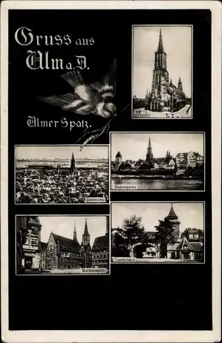 Ak Ulm an der Donau, Ulmer Spatz, Ulmer Münster, Panorama, Rathausplatz, Donaupartie