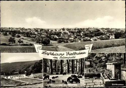 Ak Vielbrunn Michelstadt im Odenwald, Schwimmbad, Wildschweine, Dorfbrunnen, Panorama