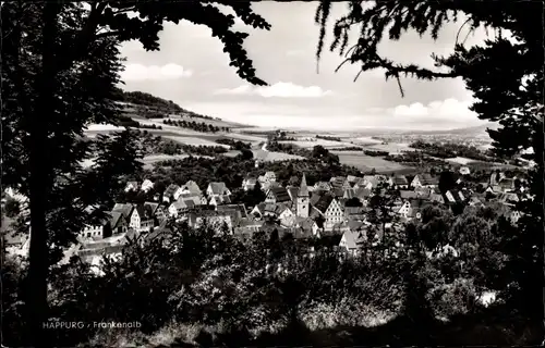 Ak Happurg in Mittelfranken, Panorama
