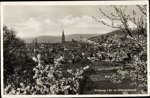 Ak Freiburg im Breisgau, Gesamtansicht zur Baumblüte
