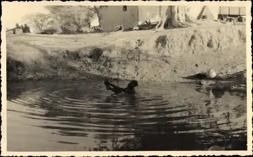 Foto Guinea, Wasserpartie, Wohnhaus, Einheimischer