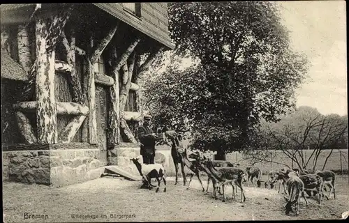 Ak Hansestadt Bremen, Wildgehege im Bürgerpark