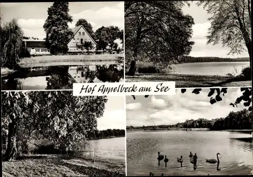 Ak Moisburg in Niedersachsen, Hof Appelbeck am See