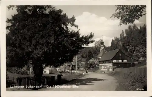 Ak Lückendorf Oybin Oberlausitz, Die 1500 jährige Eiche, Dorfpartie
