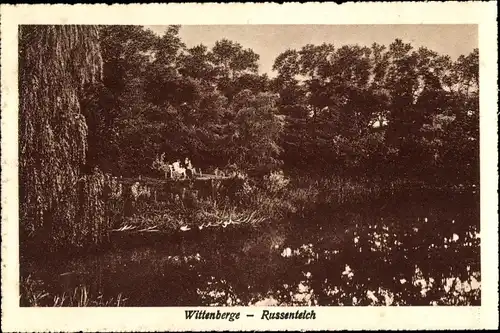 Ak Wittenberge an der Elbe Prignitz, Russenteich