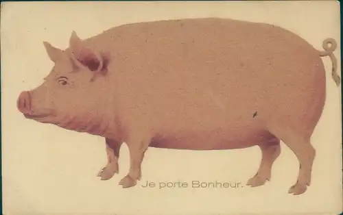 Ak Je porte Bonheur, Schwein, Glücksschwein