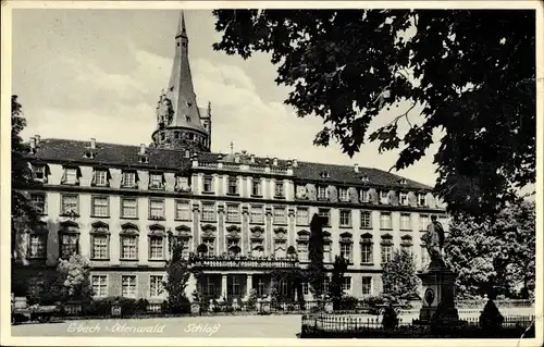 Ak Erbach Odenwald, Blick auf das Schloss und Statue