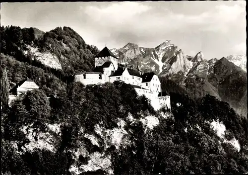 Ak Vaduz Liechtenstein, Blich zum Schloss