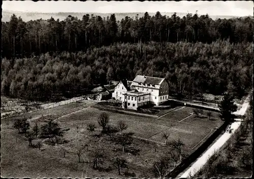 Ak Michelstadt im Odenwald, Gasthaus und Pension Waldhorn