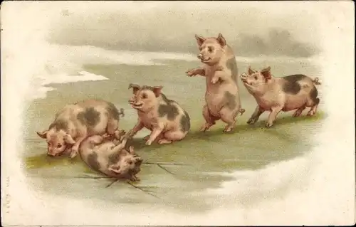 Litho Spielende Schweine, Tiere