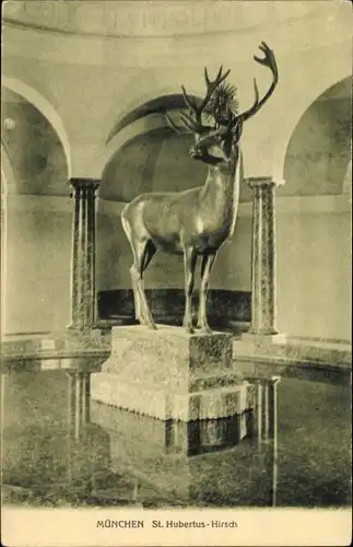 Ak München, St. Hubertus Hirsch