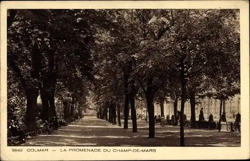 Ak Colmar Kolmar Elsass Haut Rhin, La Promenade du Champ de Mars