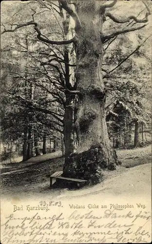 Ak Bad Harzburg am Harz, Wodans Eiche am Philosophen Weg