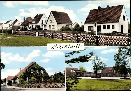 Ak Loxstedt in Niedersachsen, Siedlung, Schule, Haus mit Efeu bewachsen