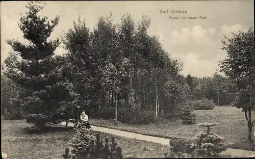 Ak Bad Steben in Oberfranken, Partie im oberen Park