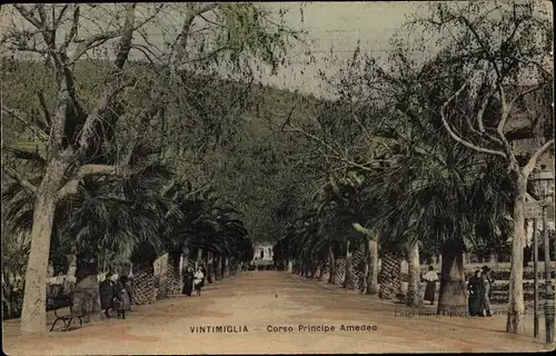 Ak Ventimiglia Liguria, Corso Principe Amedeo, Palmen