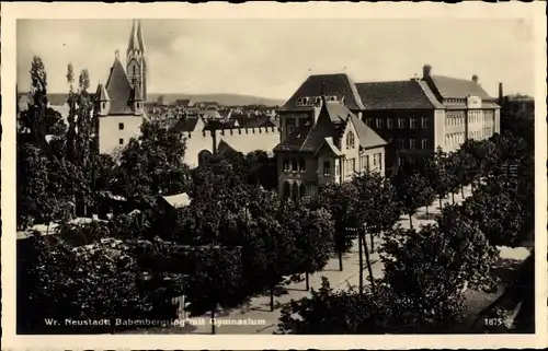 Ak Wiener Neustadt in Niederösterreich, Babenbergring, Gymnasium