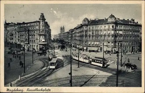 Ak Magdeburg, Hasselbachplatz, Straßenbahnen