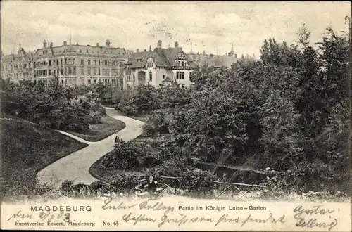 Ak Magdeburg, Königin Luise Garten