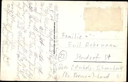 Ak Insel Sylt in Nordfriesland, Friesenhaus, Schafe