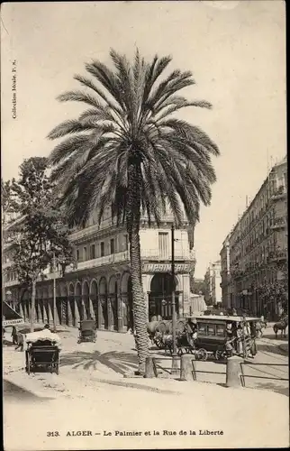 Ak Algier Alger Algerien, Le Palmier et la Rue de la Liberte