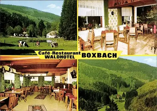 Ak Wiesenbach Breidenbach in Hessen, Waldhotel Boxbach