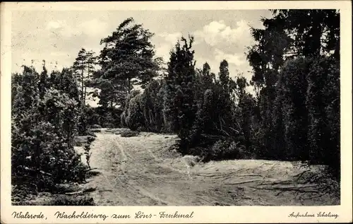 Ak Walsrode in der Lüneburger Heide, Wacholderweg zum Löns Denkmal
