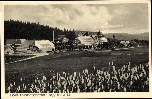 Ak Feldberg im Schwarzwald, Hotel Feldberger Hof