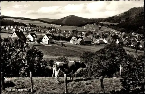 Ak Hoppecke Brilon im Sauerland, Teilansicht, Felder