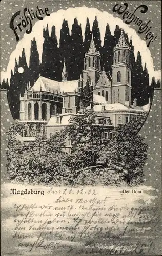 Mondschein Ak Magdeburg an der Elbe, Der Dom, Frohe Weihnachten