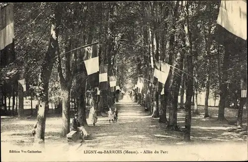 Ak Ligny en Barrois Meuse, Allee du Parc