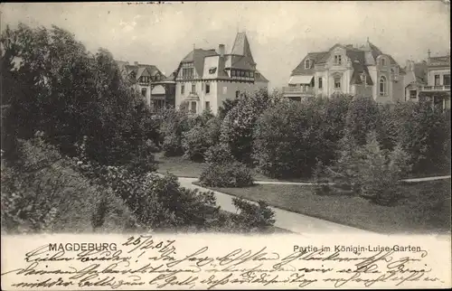 Ak Magdeburg an der Elbe, Partie im Königin Luise Garten