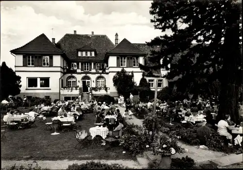 Ak Ginsheim Hessen, Rheininsel Café Nonnenau