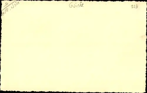 Foto Guinea, Einheimische, Frauen in Tracht