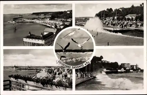 Ak Sassnitz auf Rügen, Strand, Brandung, Seebrücke, Möwen