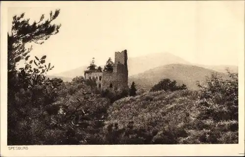 Ak Andlau Elsass Bas Rhin, Spesburg