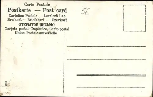 Briefmarken Ak Poste Hollandaise, Postbote, Frau in Tracht