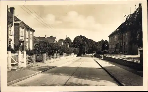 Ak Oldenburg in Holstein in Ostholstein, Hoheluftstraße