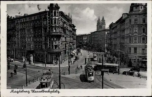 Ak Magdeburg, Hasselbachplatz, Straßenbahnen