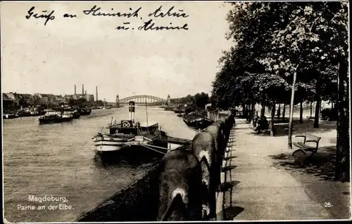 Ak Magdeburg, Promenade an der Elbe, Dampferanlegestelle