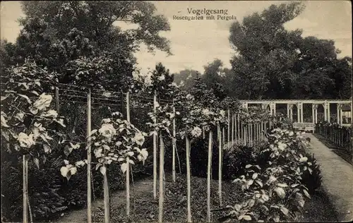 Ak Magdeburg, Parkwirtschaft Vogelgesang, Rosengarten, Pergola