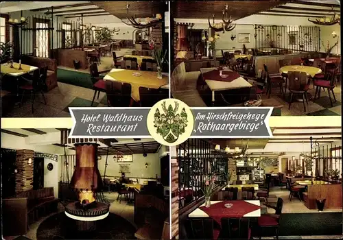 Ak Oberhundem Kirchhundem Sauerland, Hotel Waldhaus Rothaargebirge, Am Hirschfreigehege