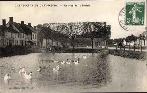 Ak Crevecoeur le Grand Oise, Avenue de la Prairie