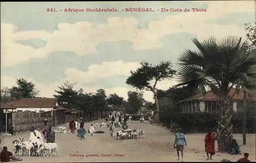 Ak Thies Senegal, Straßenpartie im Ort, Ziegen