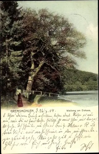 Ak Gremsmühlen Malente in Ostholstein, Waldweg am Dieksee